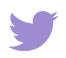 twitter-icon